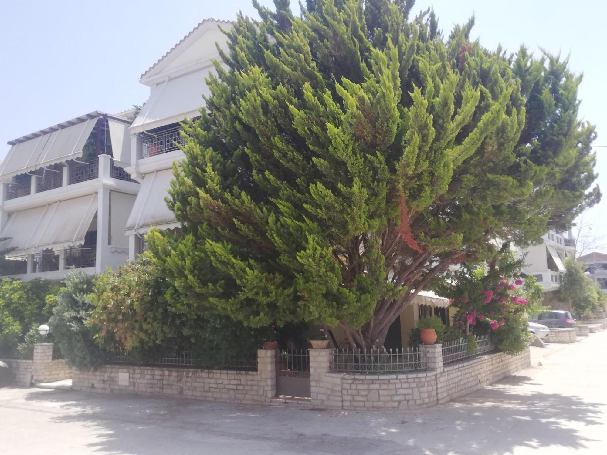 Vkastri City Apartment Lefkada City Exterior photo